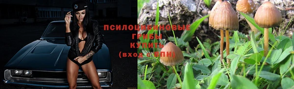 дмт Абаза