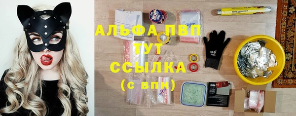 дмт Абаза