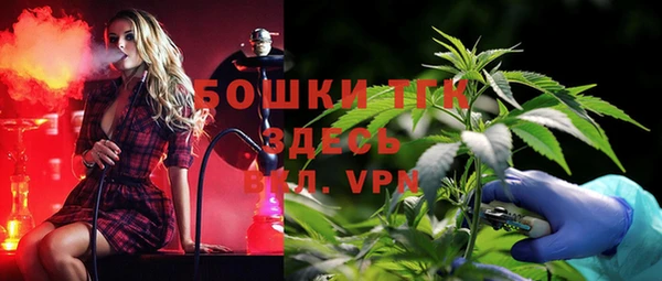 дмт Абаза