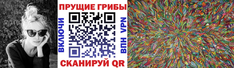где можно купить   Мегион  Псилоцибиновые грибы Psilocybe 